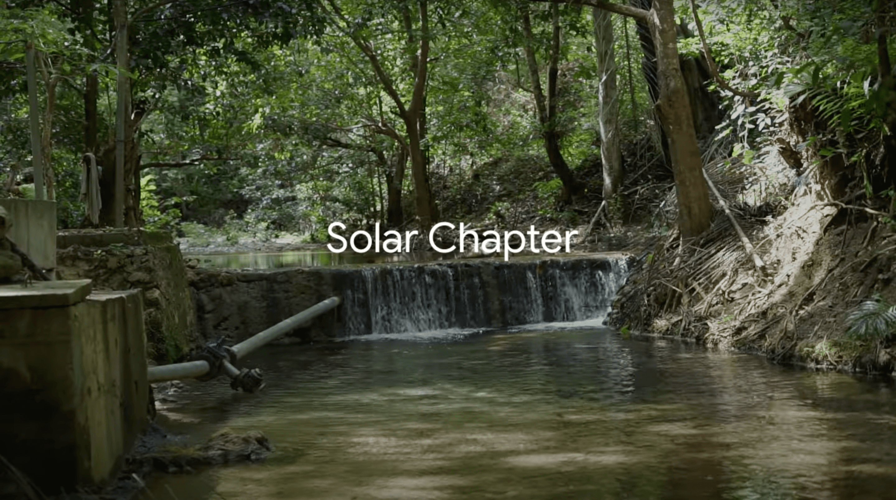 13 NGOs tackling sustainability challenges in Asia Pacific